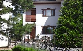 Hotel Коттедж Leleka Vyzhnynsia